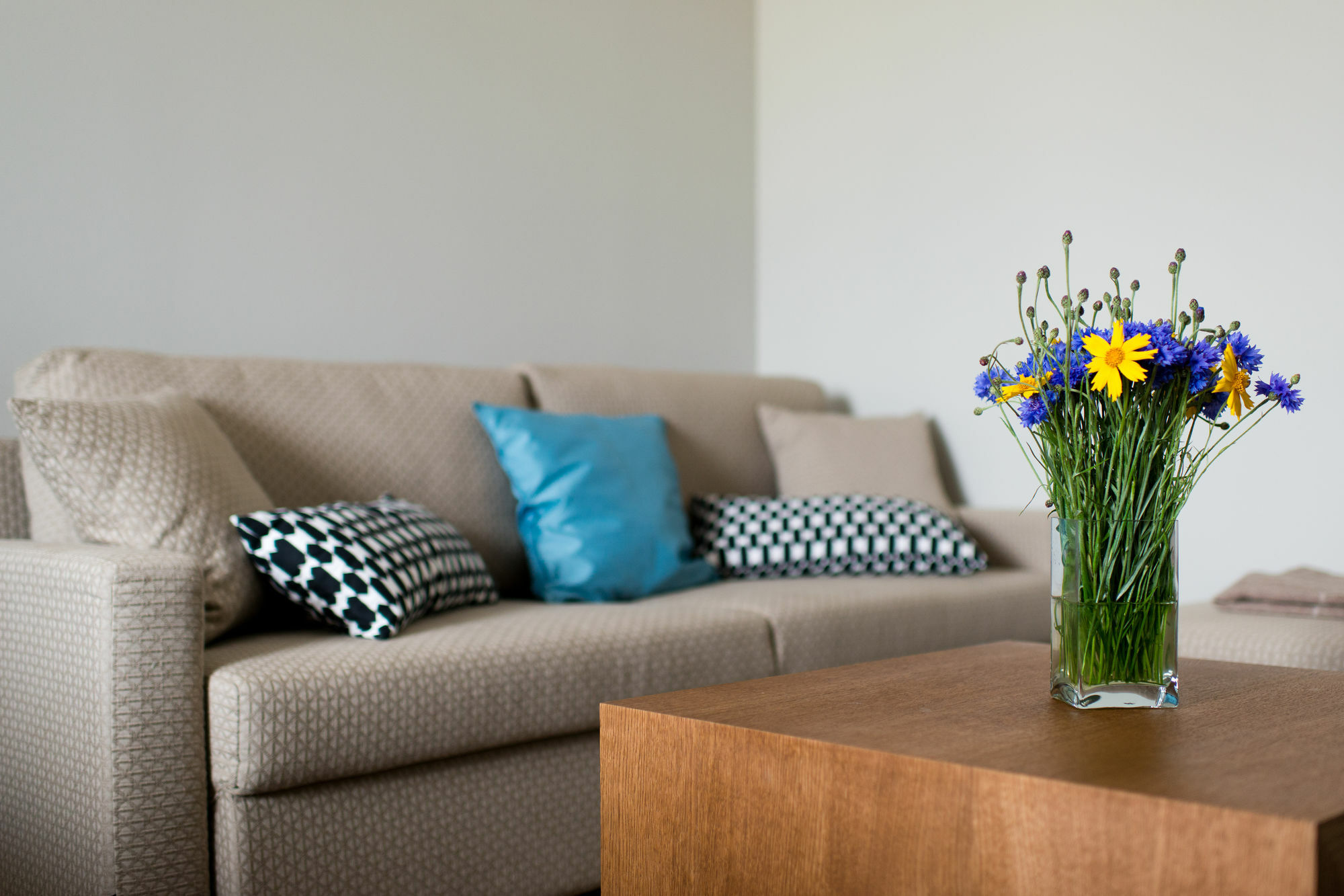 Palanga Visit Apartments And Spa Ngoại thất bức ảnh